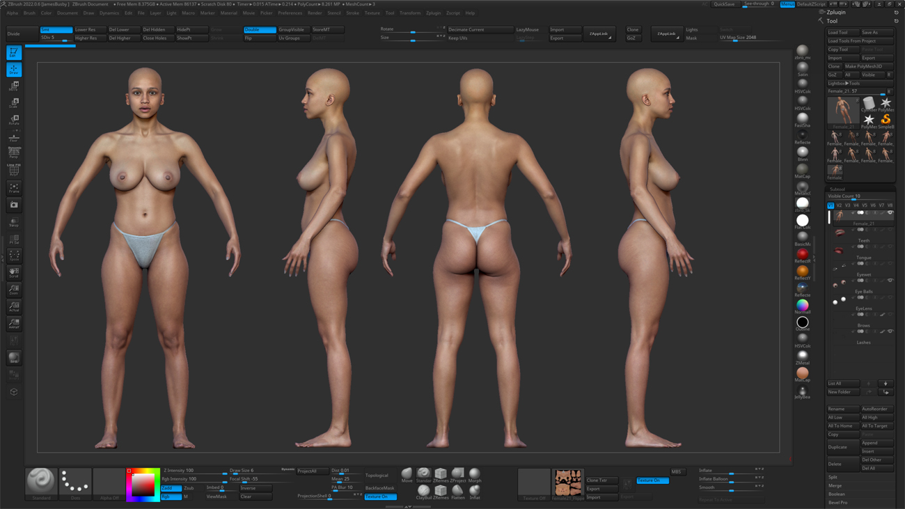 ZBrush ZTool render of a female 3D body scan at high subdivision showing sculpt-ready mesh geometry